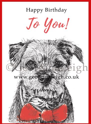 Dog Birthday Card - Border Terrier